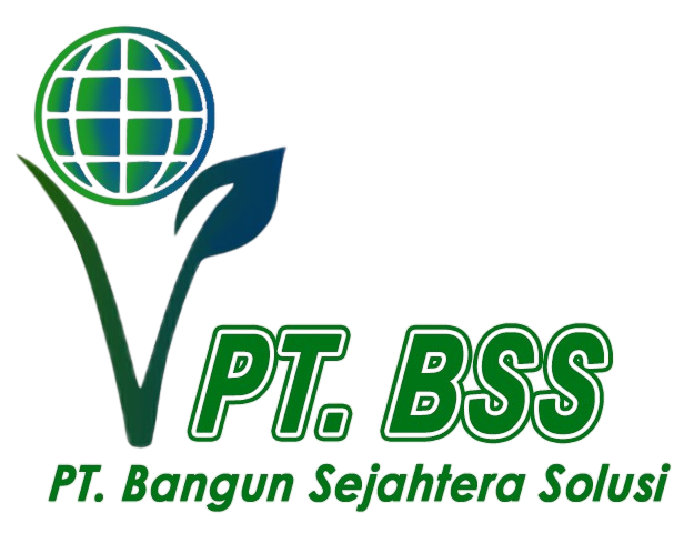 Logo BSS